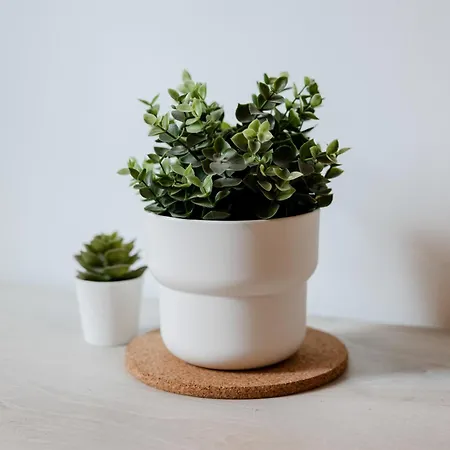 Montagnola Mini House Appartamento